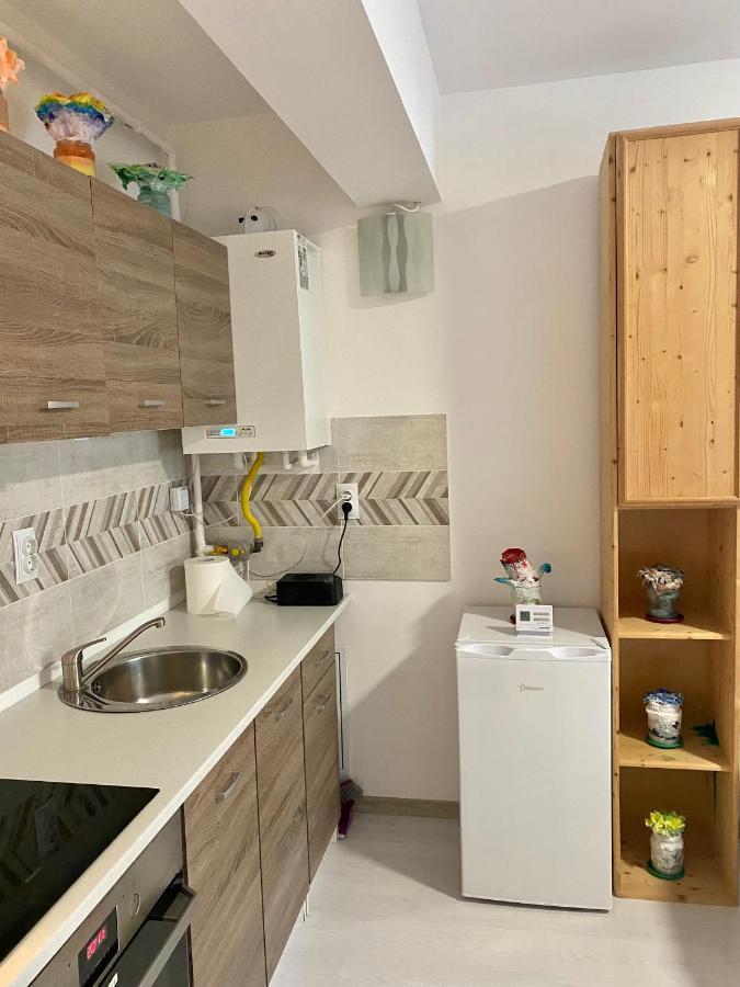 Apartament Irina Брашов Экстерьер фото